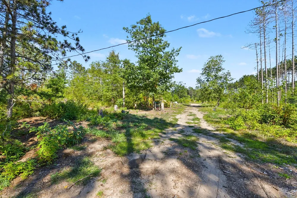 17711 Lindy Road Thompsonville, MI 49683