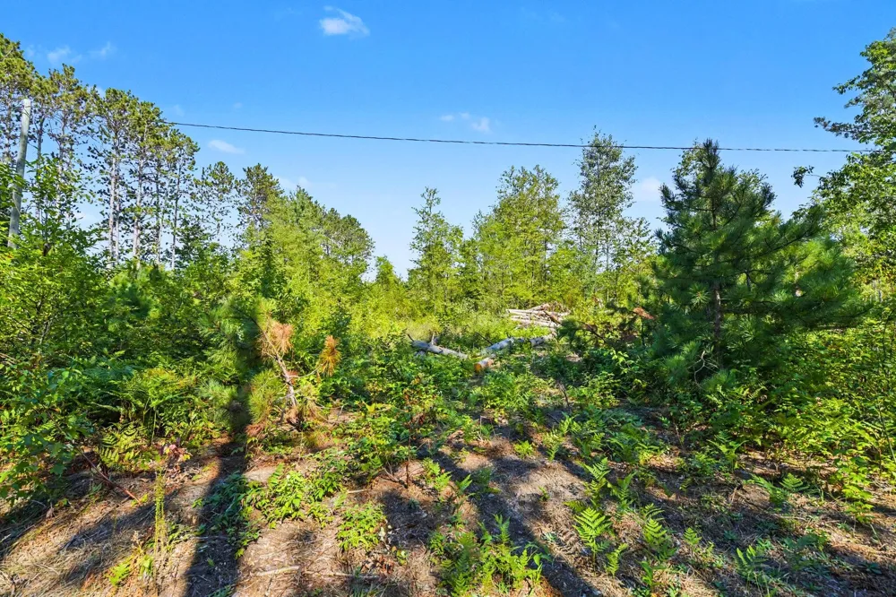 17711 Lindy Road Thompsonville, MI 49683
