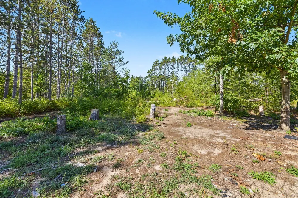 17711 Lindy Road Thompsonville, MI 49683