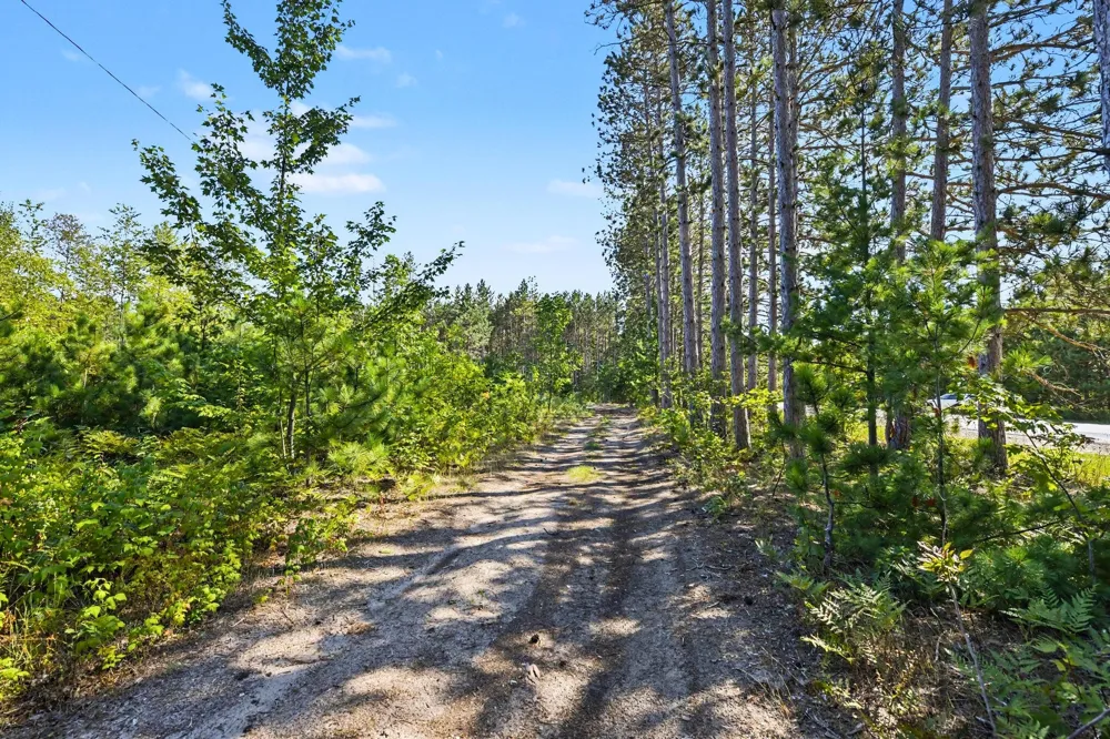 17711 Lindy Road Thompsonville, MI 49683