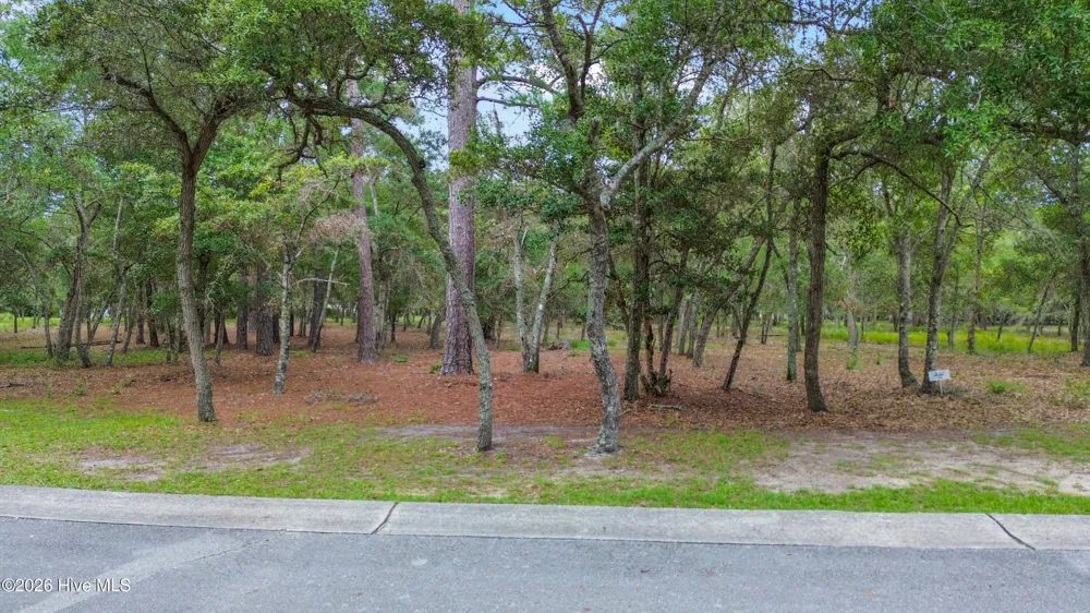 676 Parish Drive SW Supply, NC 28462