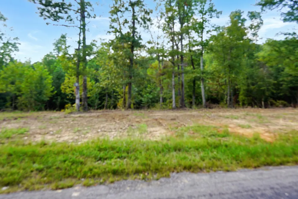1 Freeman Fielder Rd Stewart, TN 37175