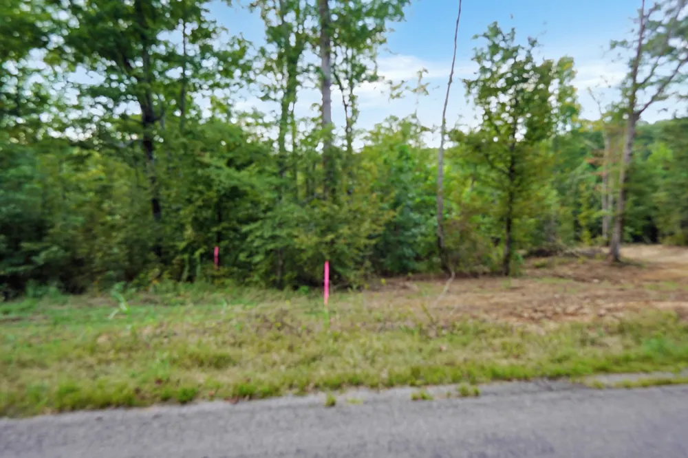 1 Freeman Fielder Rd Stewart, TN 37175