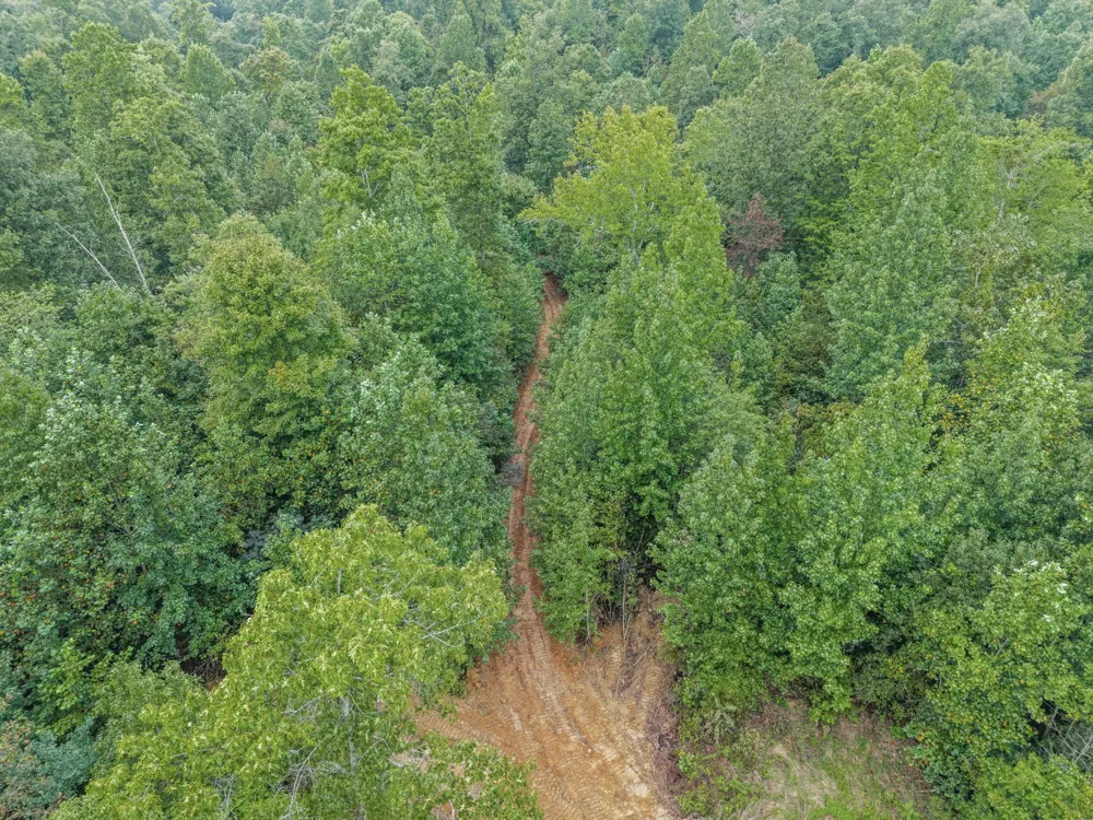 1 Freeman Fielder Rd Stewart, TN 37175