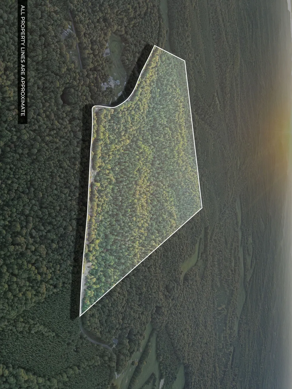 1 Freeman Fielder Rd Stewart, TN 37175