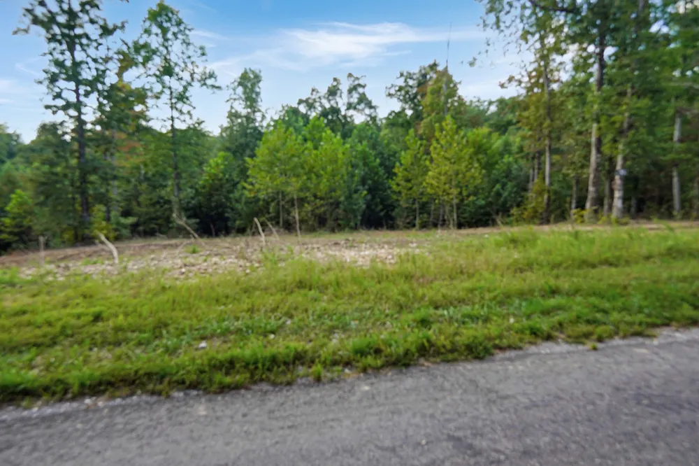 1 Freeman Fielder Rd Stewart, TN 37175