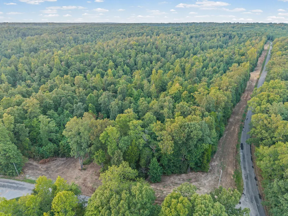 1 Freeman Fielder Rd Stewart, TN 37175
