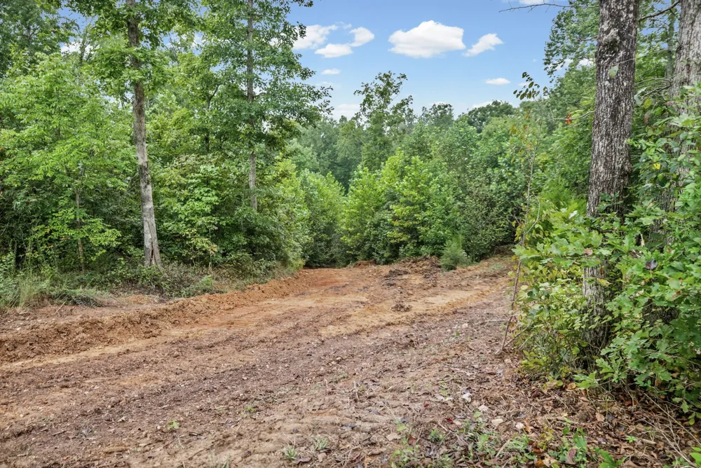 1 Freeman Fielder Rd Stewart, TN 37175