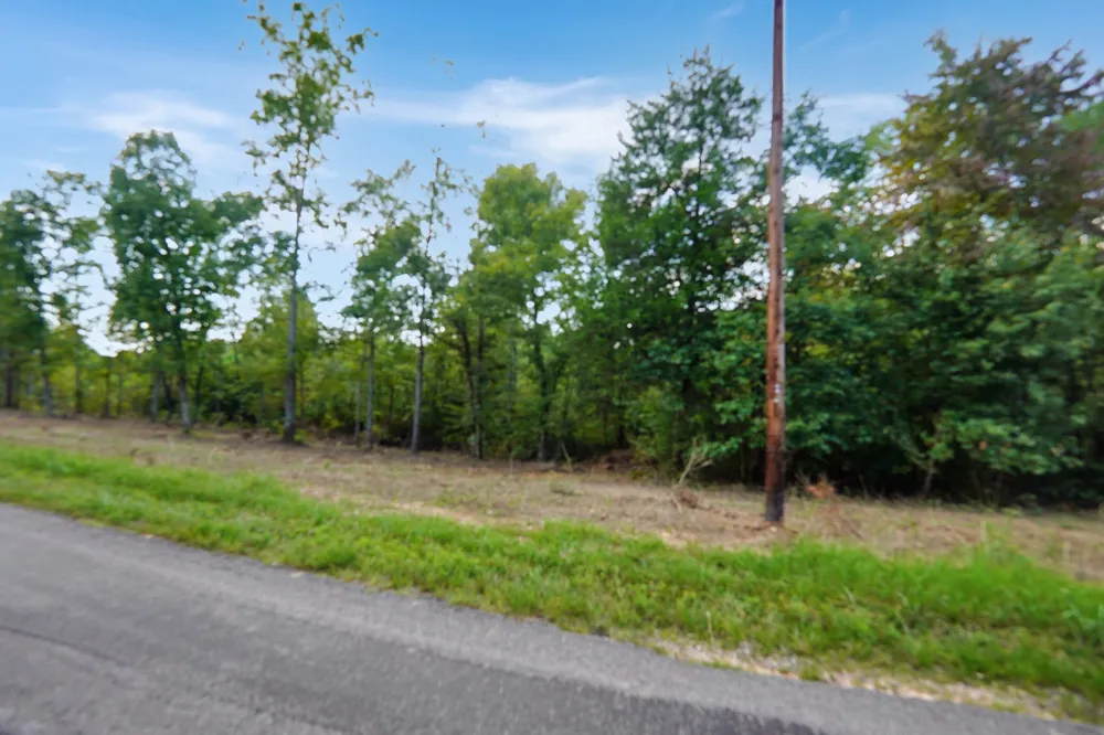 1 Freeman Fielder Rd Stewart, TN 37175