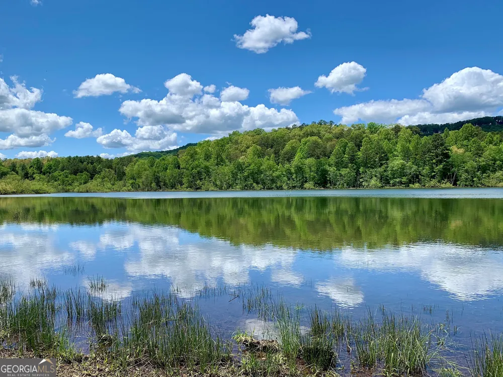 251 Walnut RD Blairsville, GA 30512