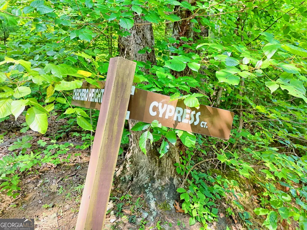 0 King Mountain Dr Clayton, GA 30525