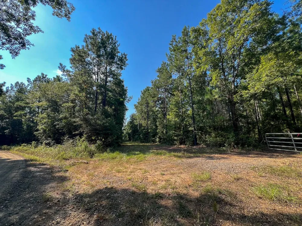 3 Cr 2150 Woodville, TX 75979