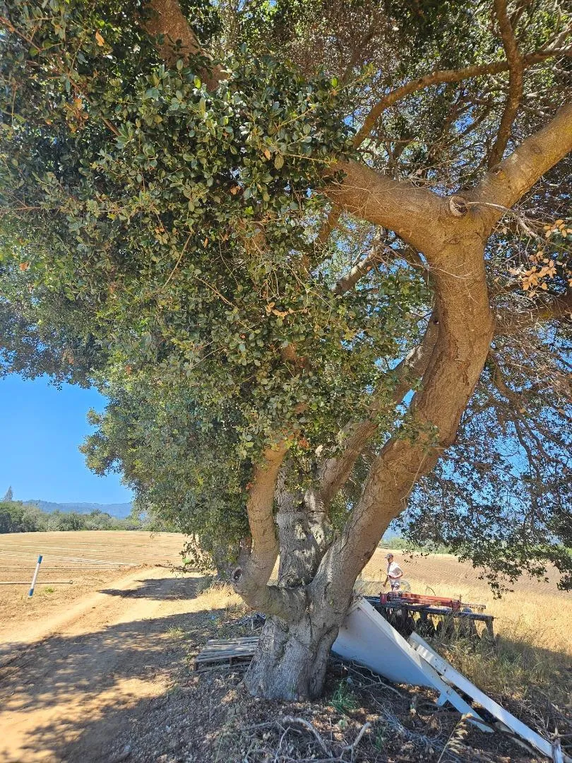 Address Not Shown Watsonville, CA 95076