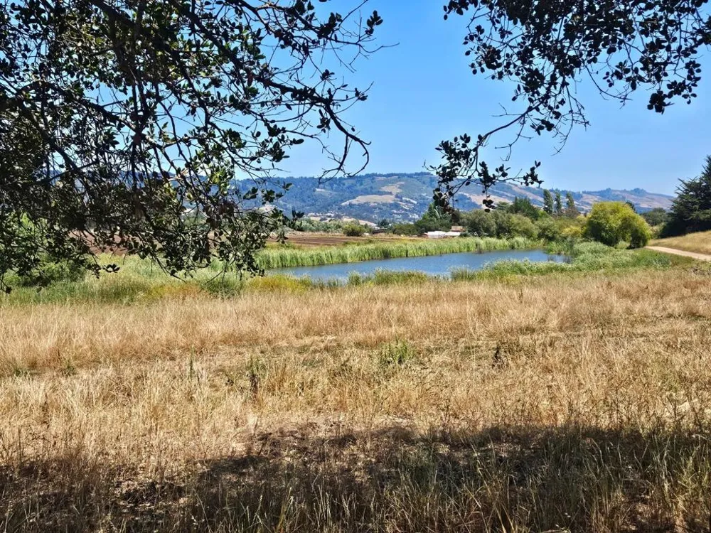 Address Not Shown Watsonville, CA 95076