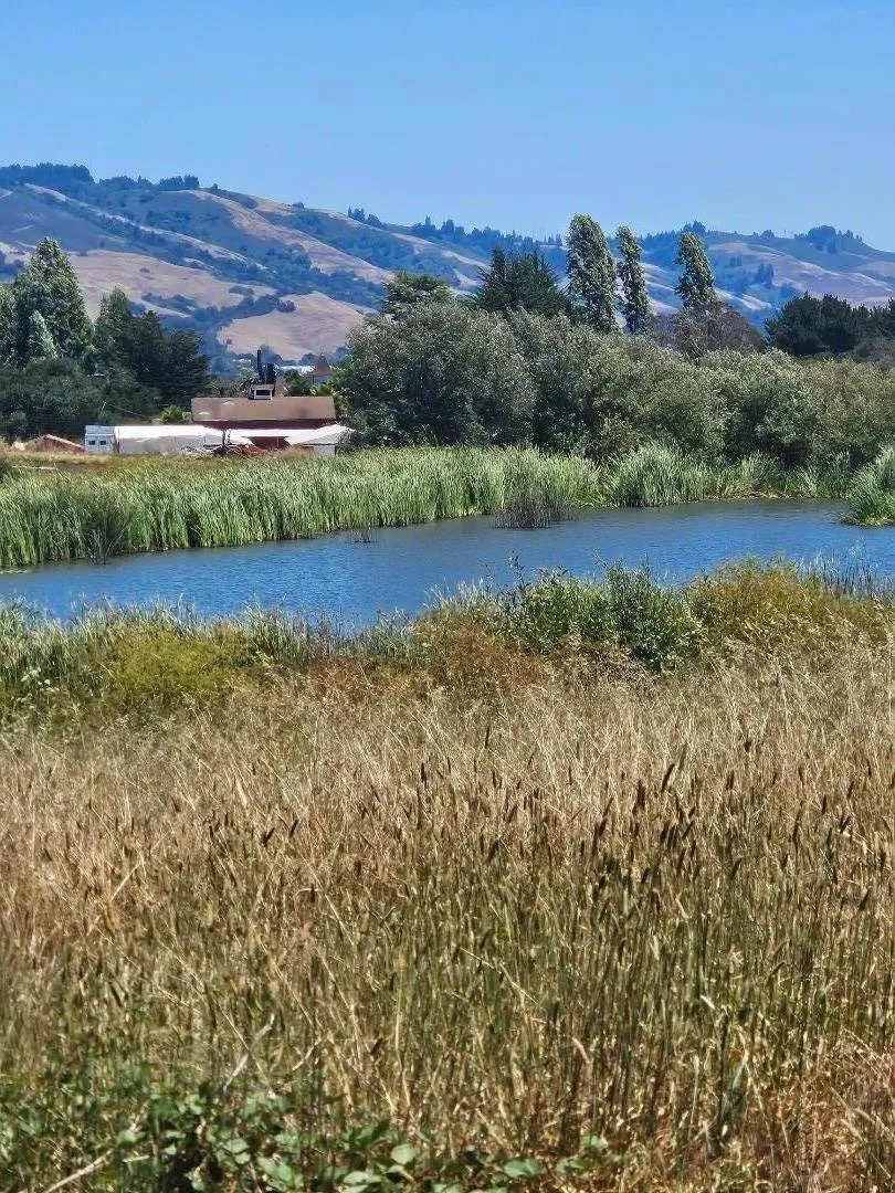 Address Not Shown Watsonville, CA 95076