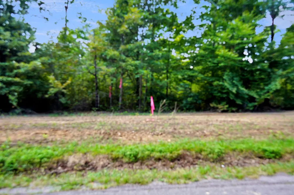 3 Freeman Fielder Rd Stewart, TN 37175