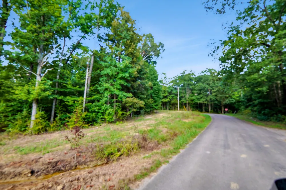 3 Freeman Fielder Rd Stewart, TN 37175