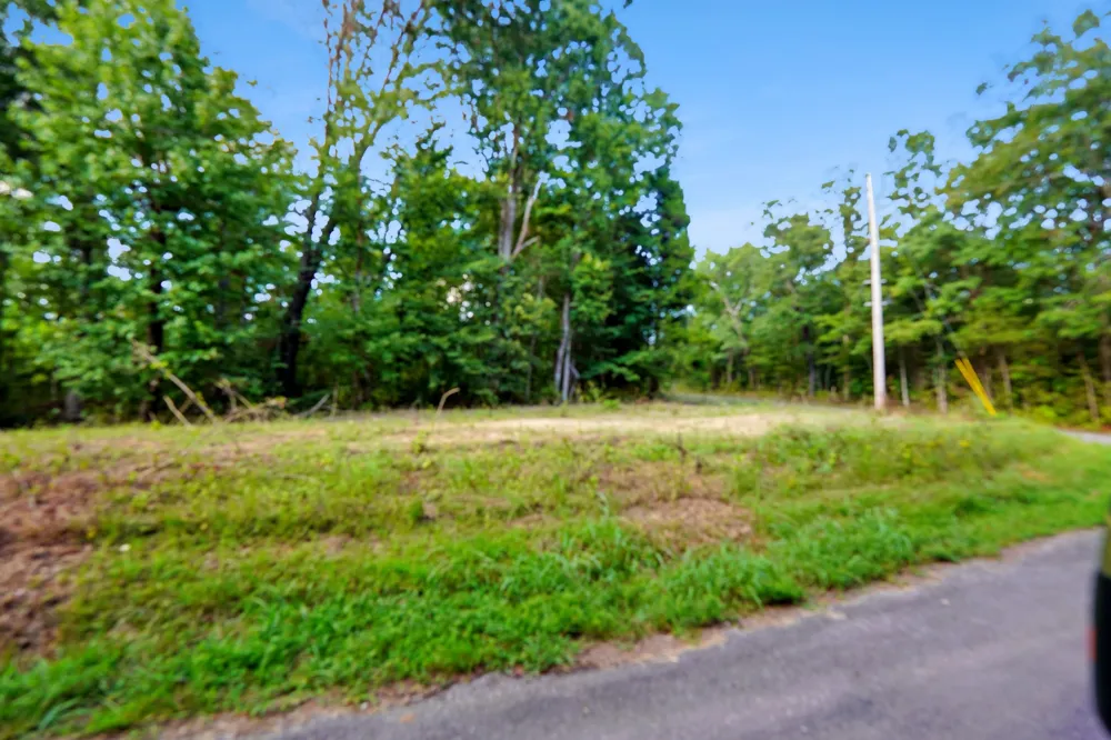 3 Freeman Fielder Rd Stewart, TN 37175