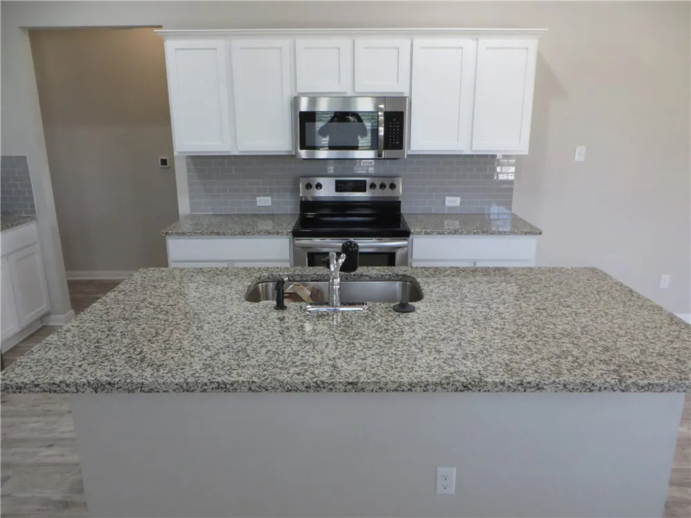 1200 Ferryman Drive Georgetown, TX 78626
