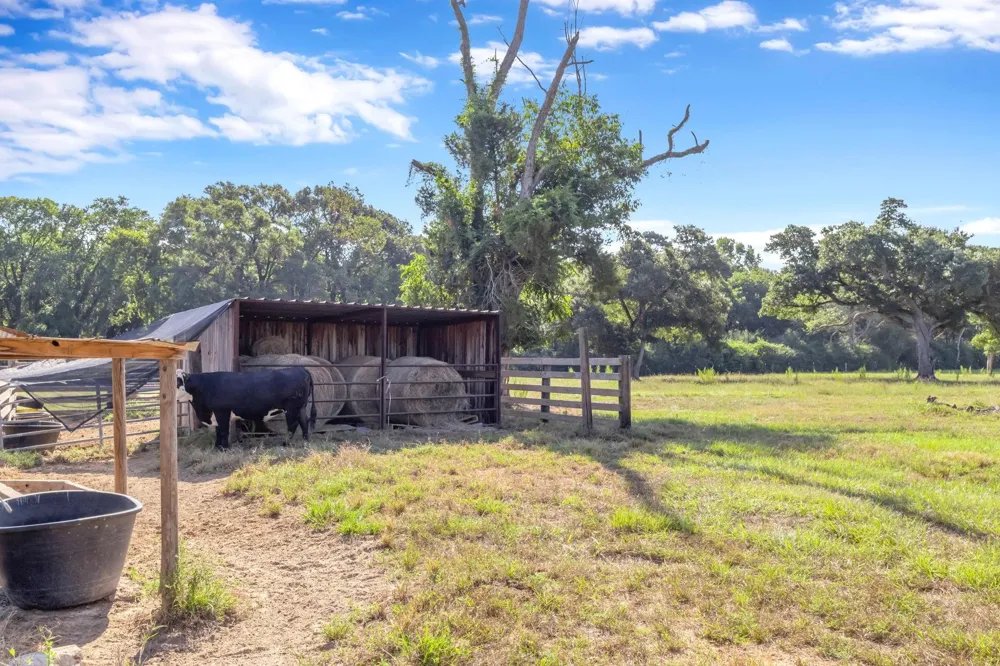 565 County Road 333a Kirbyville, TX 75956