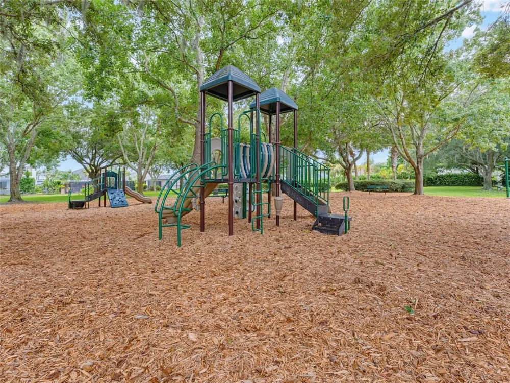 1900 CARDAMON DRIVE Trinity, FL 34655