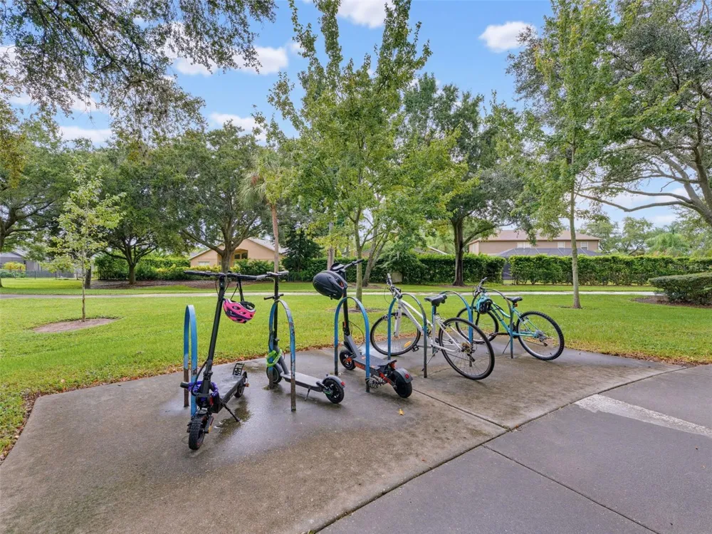 1900 CARDAMON DRIVE Trinity, FL 34655