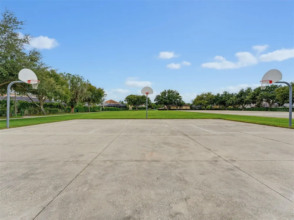 1900 CARDAMON DRIVE Trinity, FL 34655