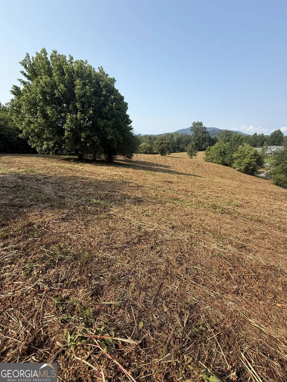 0 Ridgemont LN Ellijay, GA 30536