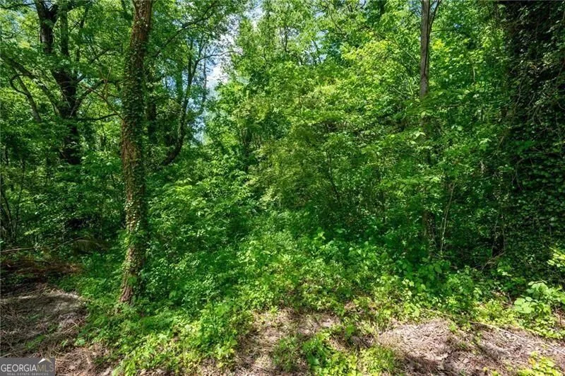 2471 52 HWY Chatsworth, GA 30705