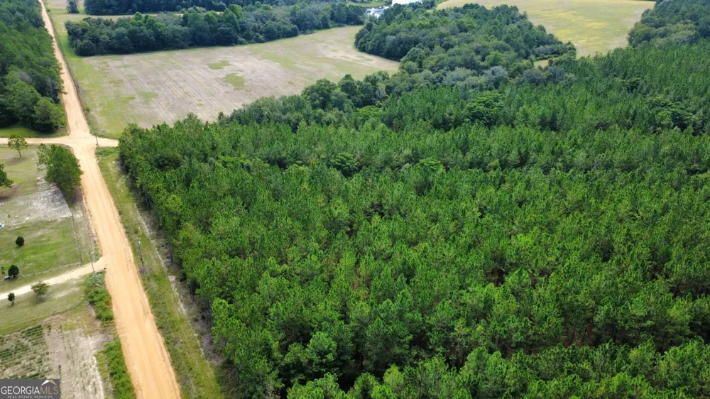 TRACT 4 A L Reeves RD Fitzgerald, GA 31750