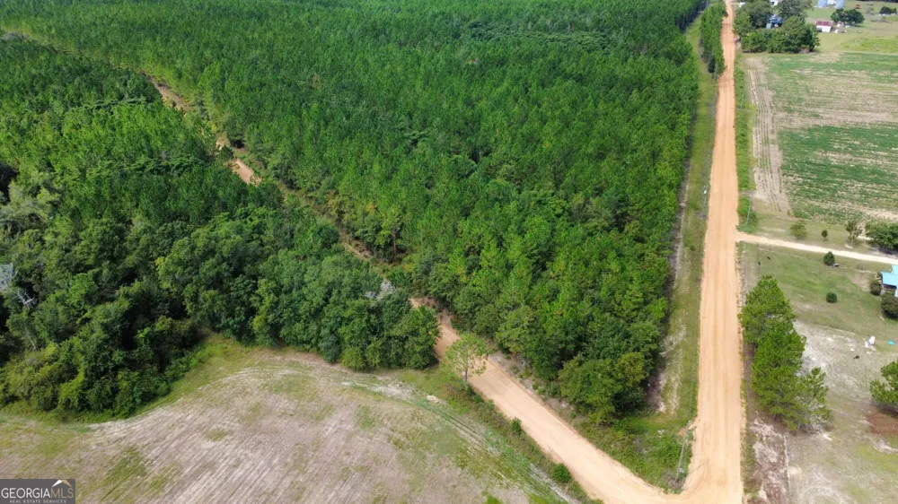 TRACT 4 A L Reeves RD Fitzgerald, GA 31750