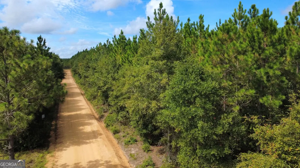 TRACT 4 A L Reeves RD Fitzgerald, GA 31750