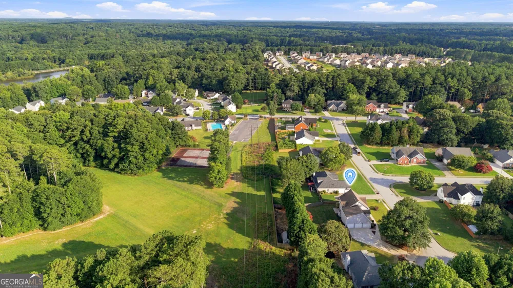 3845 Brushy Wood CT Loganville, GA 30052