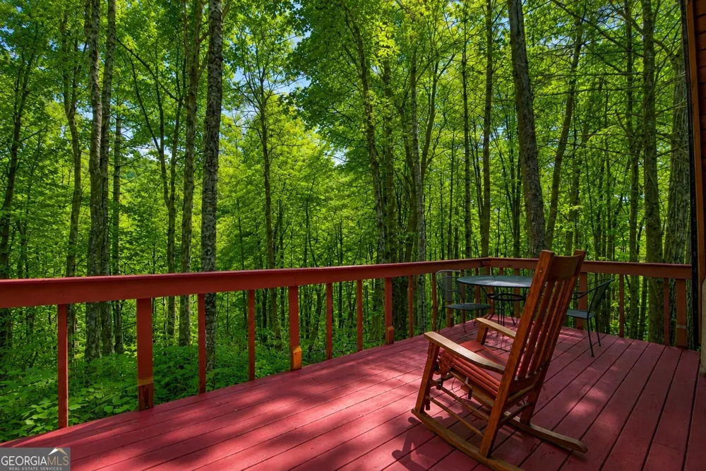 11296 Old Ccc Camp RD Chatsworth, GA 30705