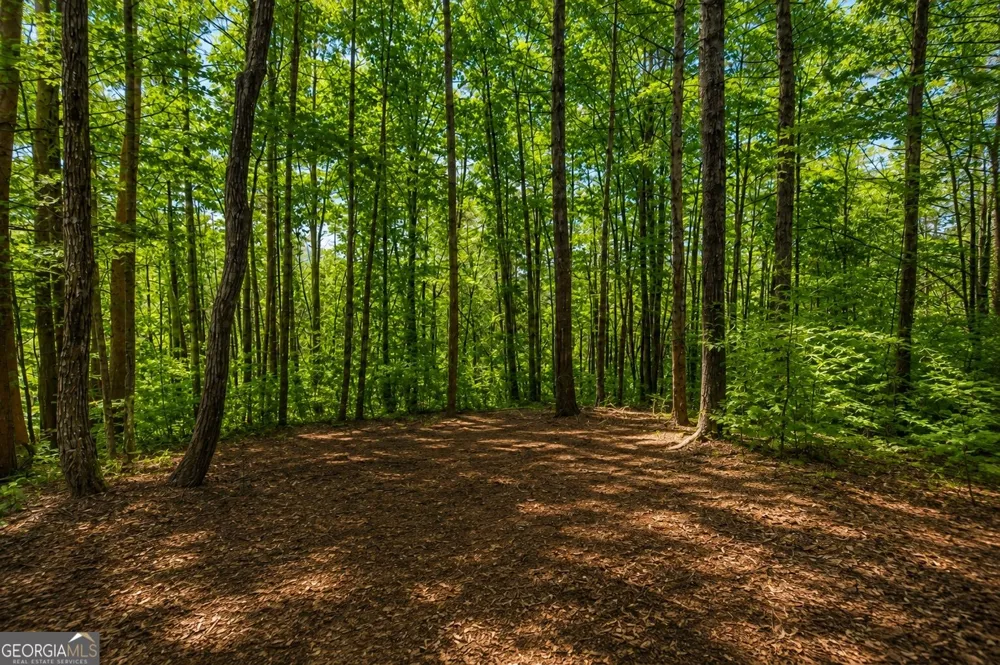 11296 Old Ccc Camp RD Chatsworth, GA 30705