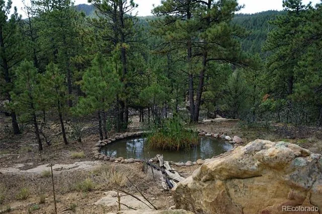 19084 County Road 31.9 Weston, CO 81091