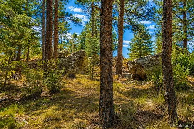 19084 County Road 31.9 Weston, CO 81091