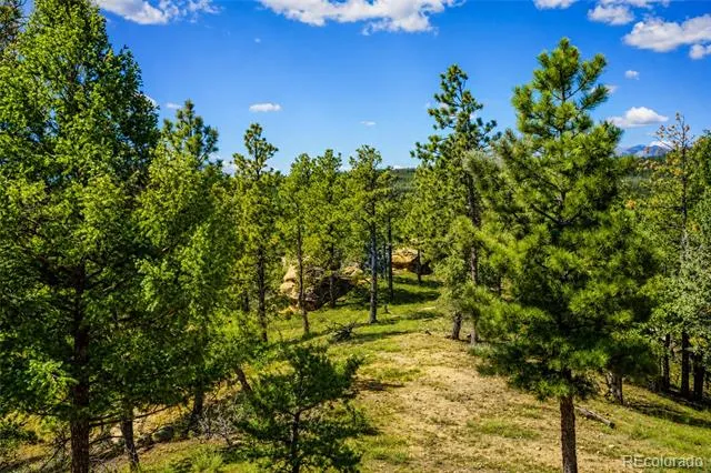 19084 County Road 31.9 Weston, CO 81091