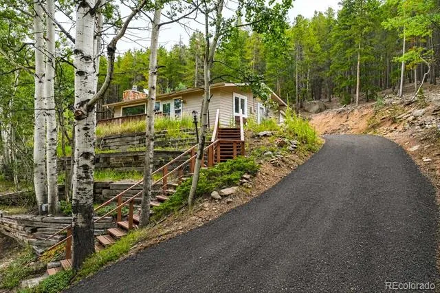 8680 London Lane Conifer, CO 80433
