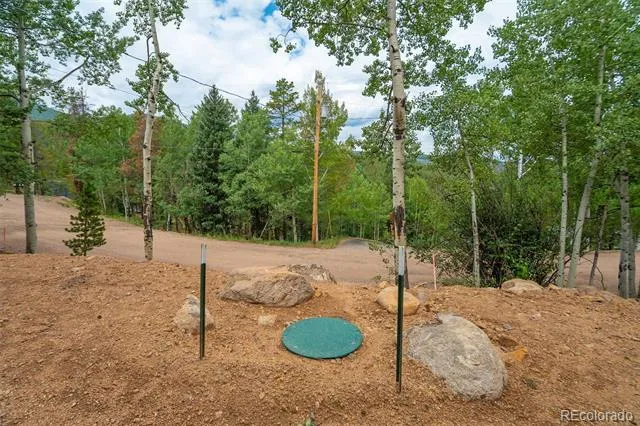 8680 London Lane Conifer, CO 80433