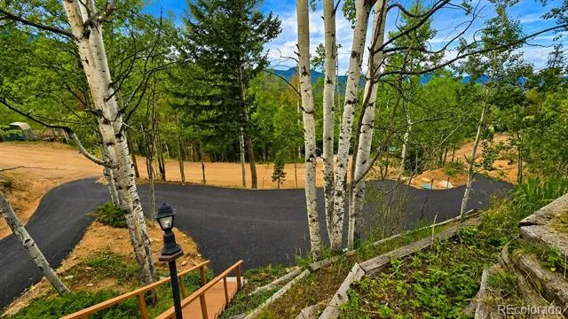 8680 London Lane Conifer, CO 80433