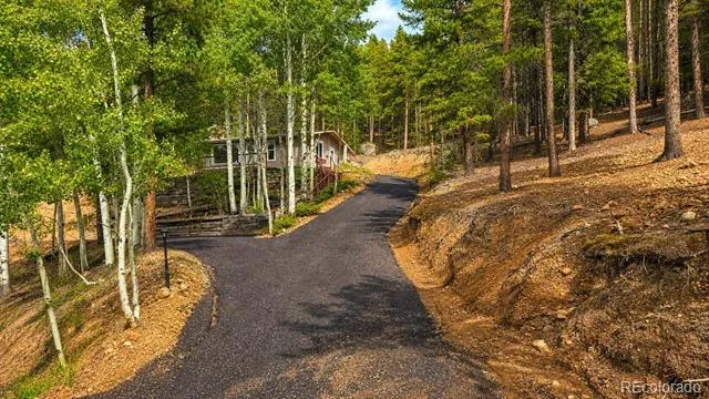 8680 London Lane Conifer, CO 80433