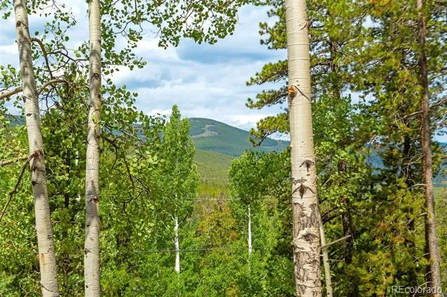 8680 London Lane Conifer, CO 80433