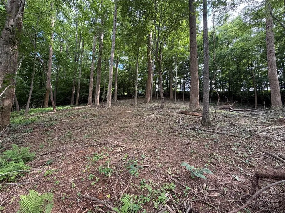 0 Martin Head Circle Dahlonega, GA 30533