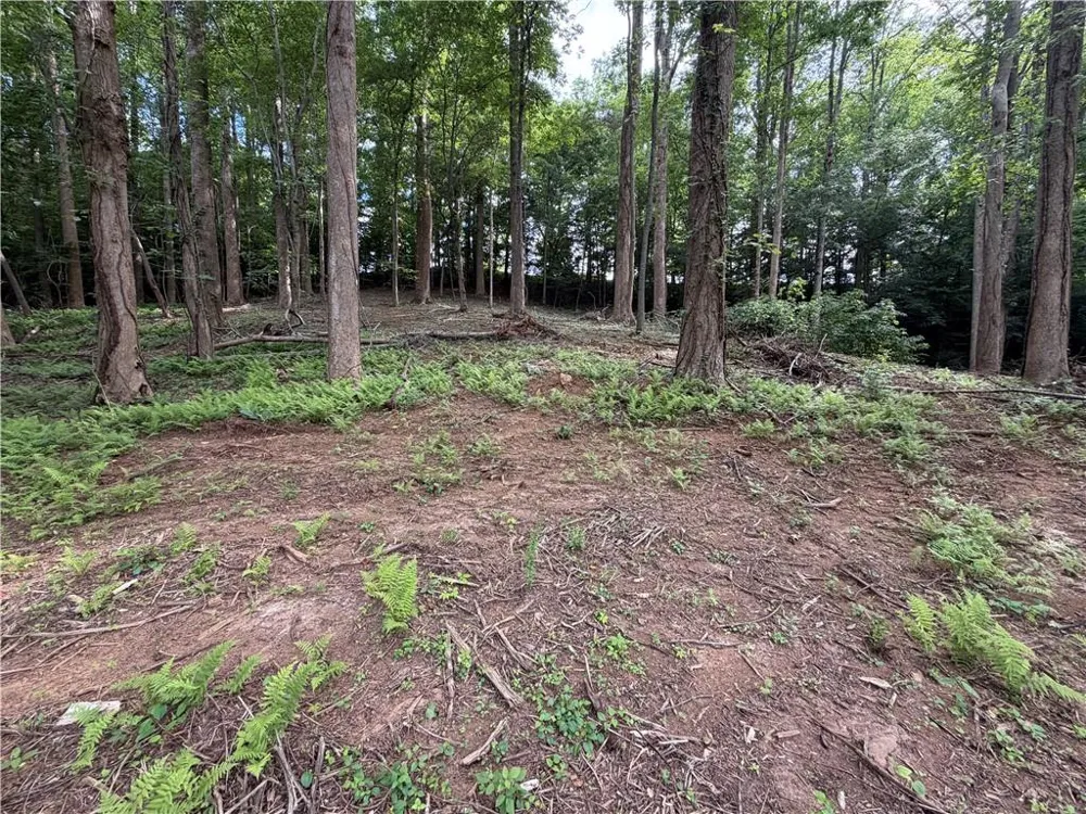 0 Martin Head Circle Dahlonega, GA 30533