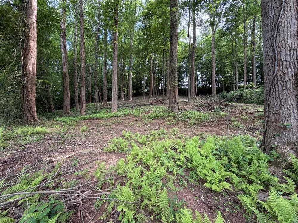0 Martin Head Circle Dahlonega, GA 30533