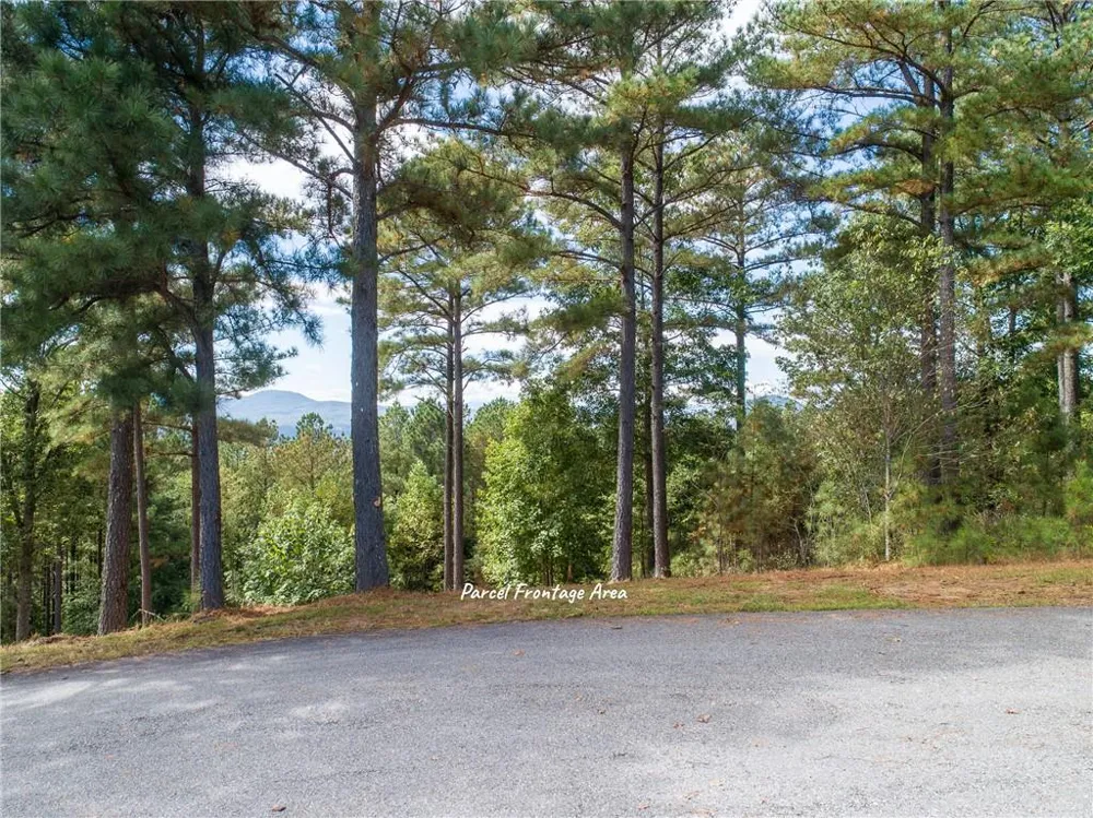 Lot 14 Mile High Lane Blairsville, GA 30512