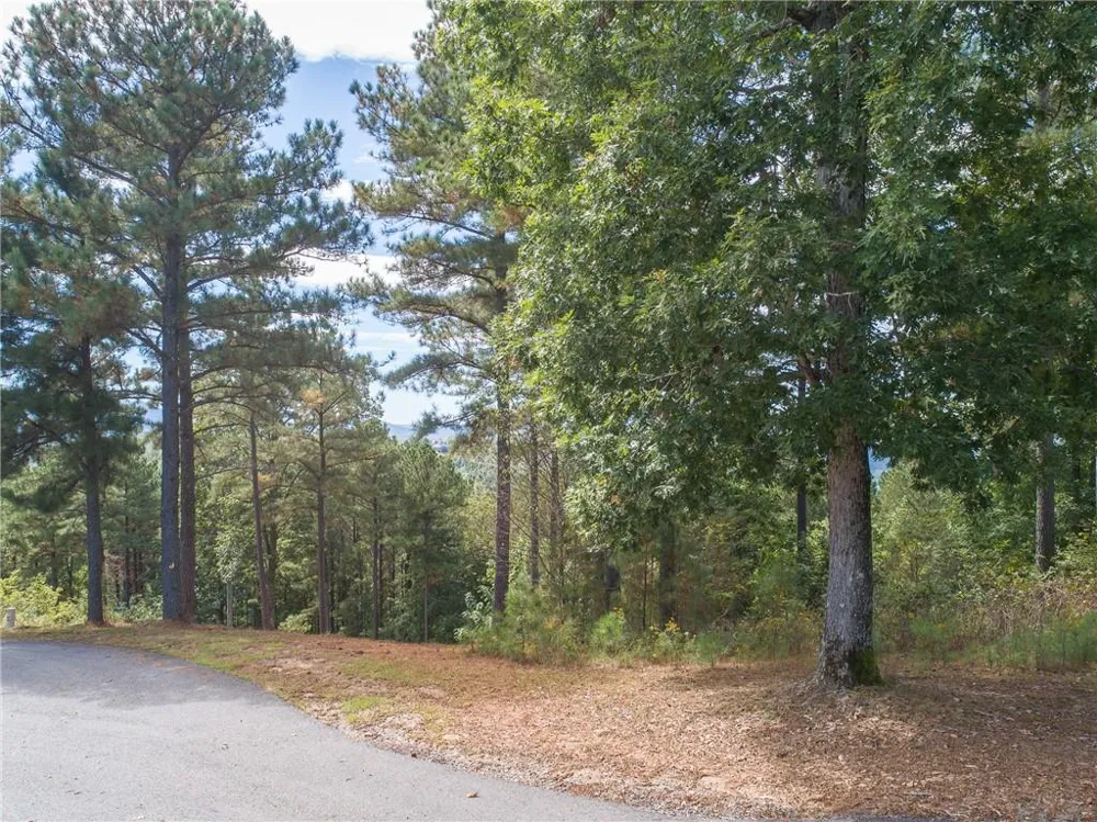 Lot 14 Mile High Lane Blairsville, GA 30512