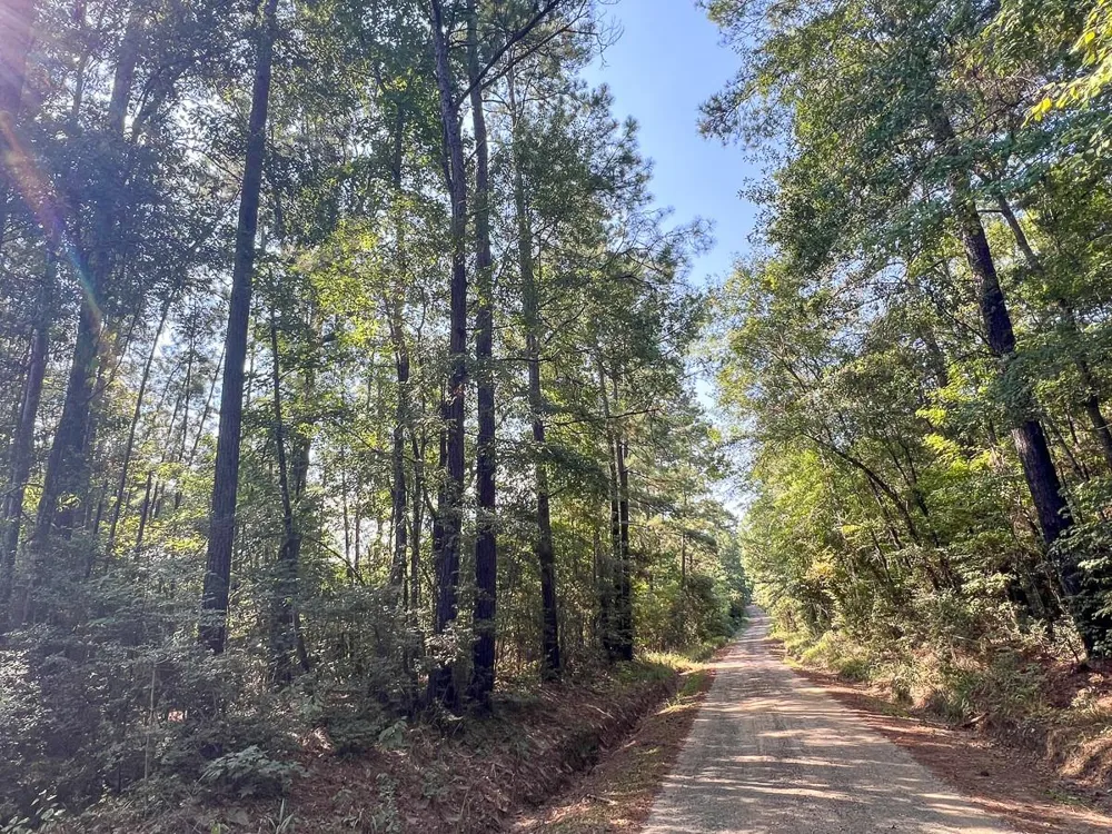 4 Cr 2150 Woodville, TX 75979