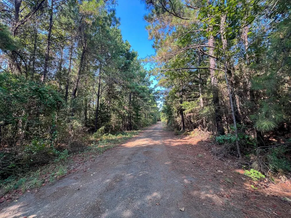 4 Cr 2150 Woodville, TX 75979
